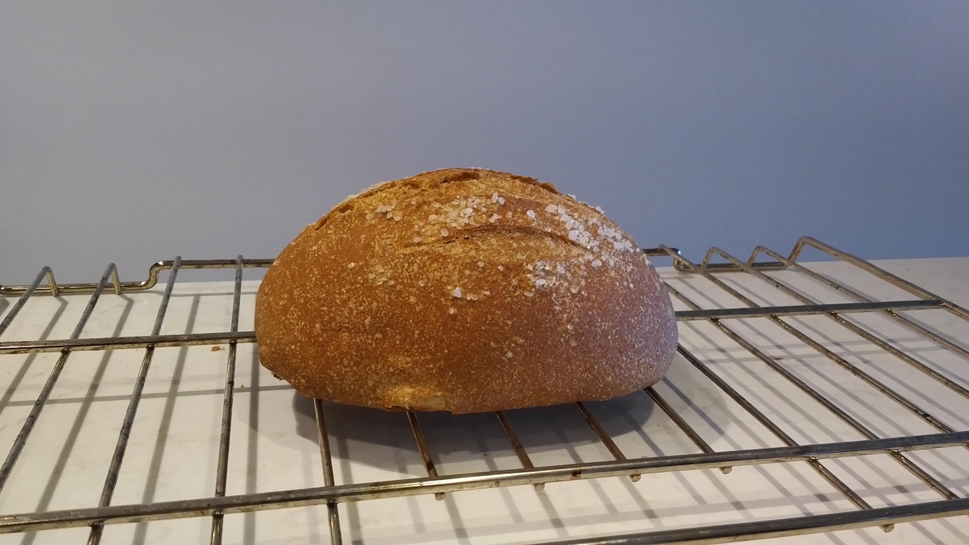 Salty Loaf Part II