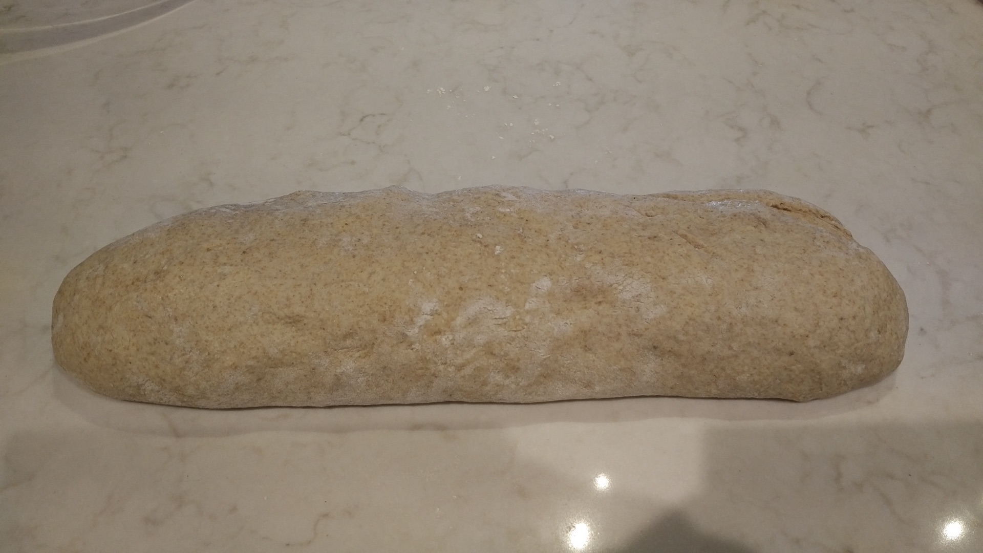 dough log