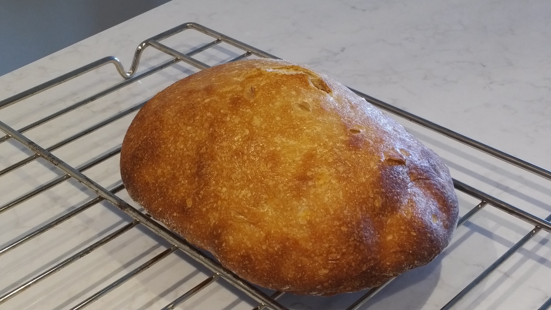 Bread