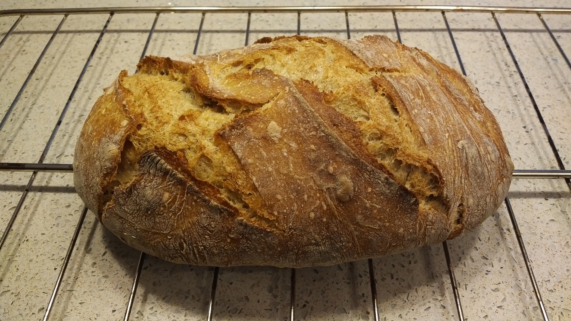 Crunchy Dark Rye - Day 2